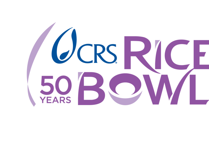 Rice Bowls