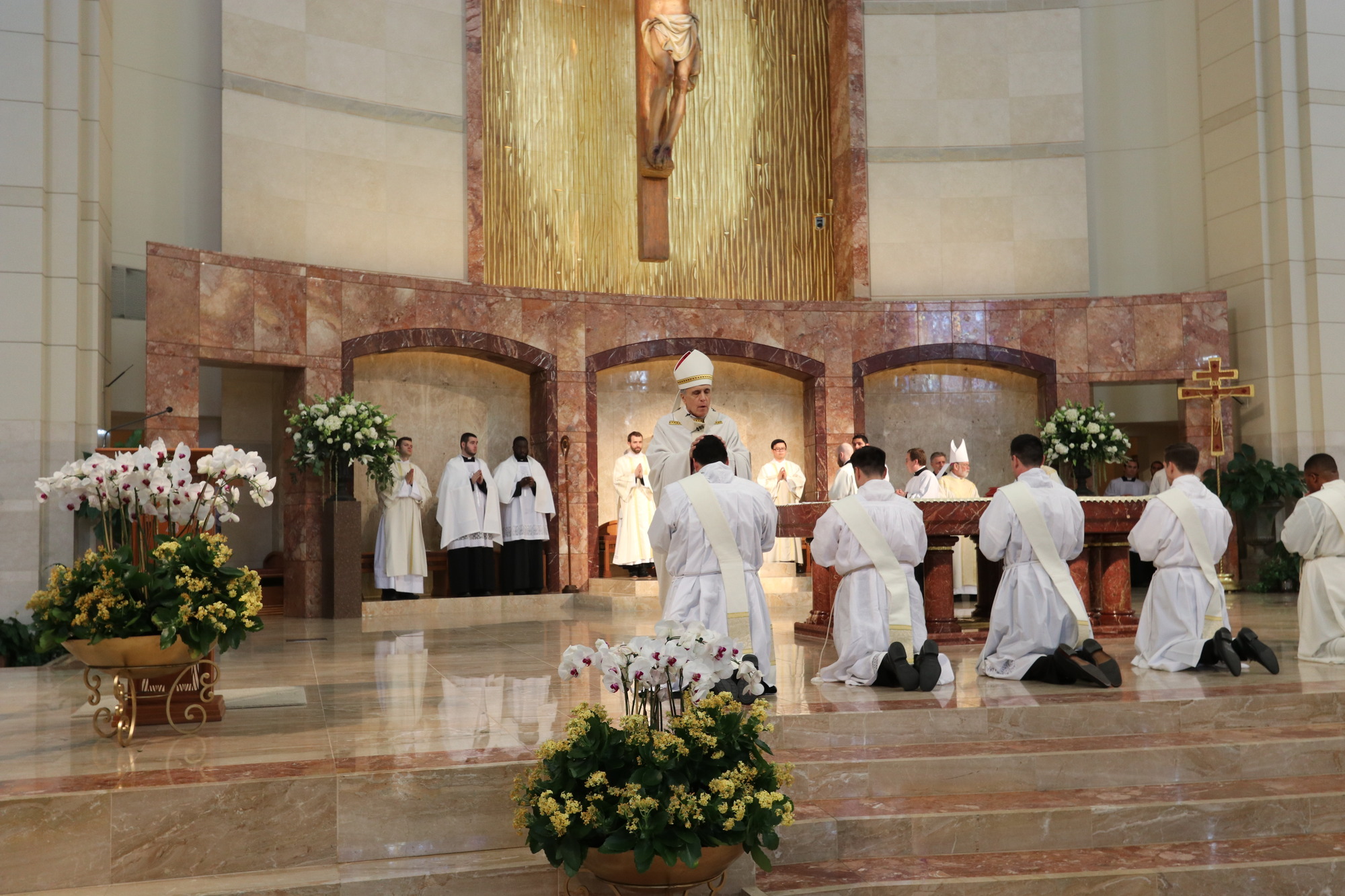 Holy Orders/ Órdenes Sagradas