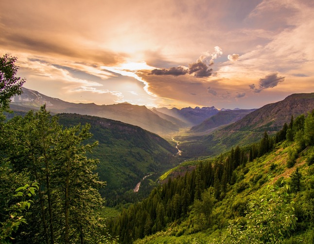 Billings Ovulation NFP Course