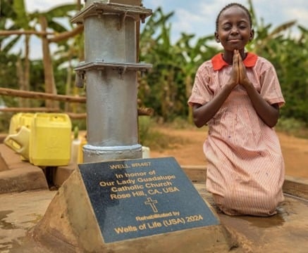 Wells of Life 2437