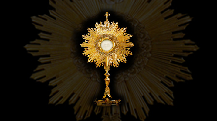 Extraordinary ministers of holy Communion delegated