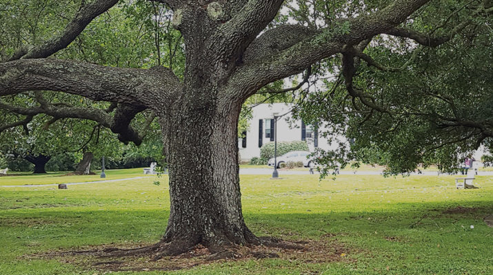 Young adult retreat: Gift of ‘slowing down’