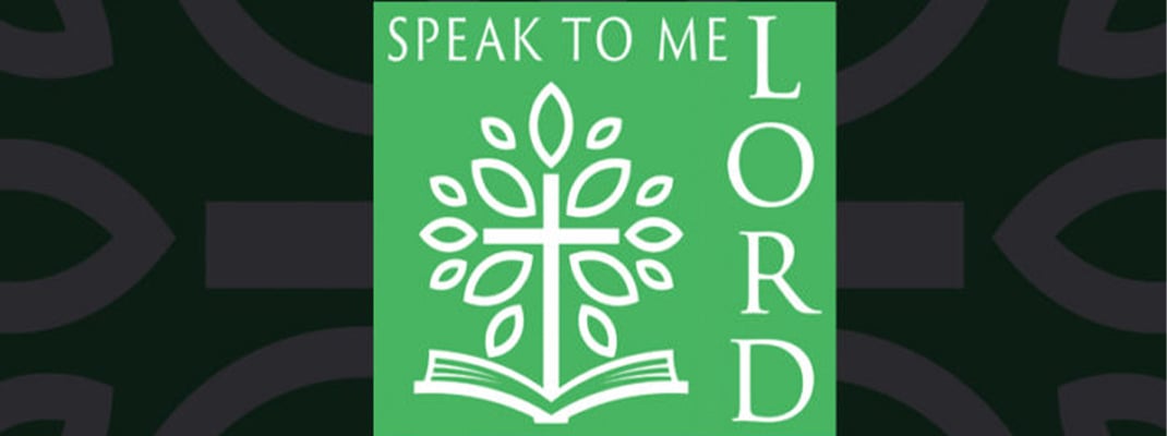 20th Sunday in Ordinary Time: ‘Send her away’