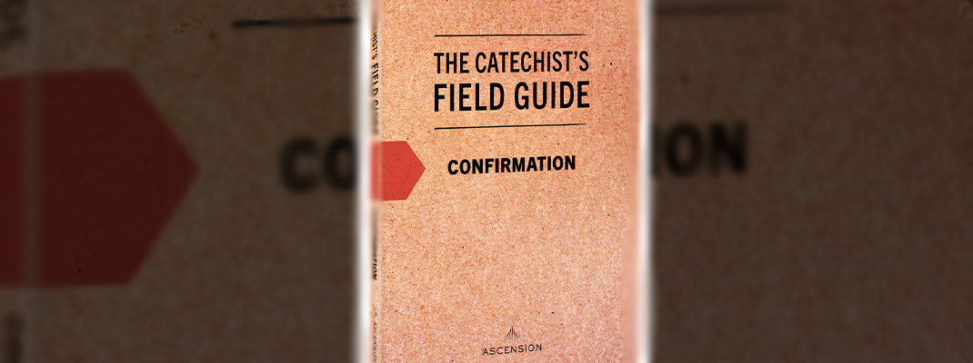Confirmation catechists should ‘accompany’ students
