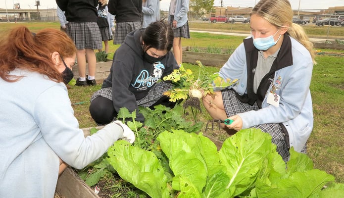 Garden aligns with pope’s call to care for earthly home