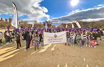 Shining a bright light on life