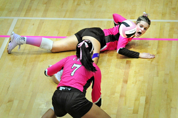 The 2024 Clarion Herald Elite Volleybal Team