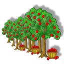 How do you like them apples?