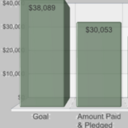 Matching Gift & Rebate Status