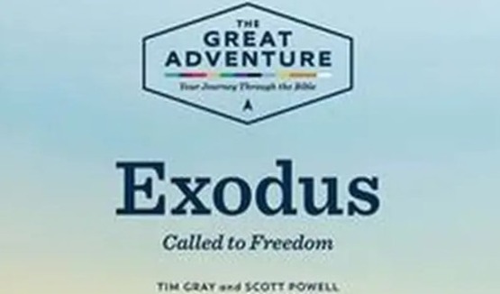 Adult Faith Formation