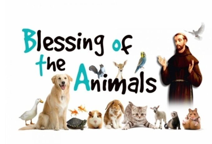 ✨ Blessing of the Animals ✨ Celebrate the Feast of St. Francis of Assisi!