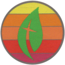 Faith Challenge Patches for Children and Youth