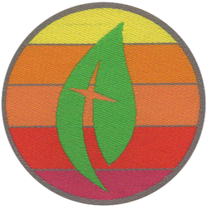 Faith Challenge Patches for Children and Youth