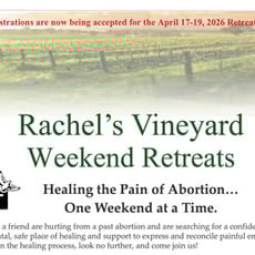 Respect Life Ministry - Rachel's Vineyard Retreat