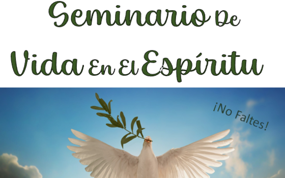 Seminario de Vida en el Espíritu