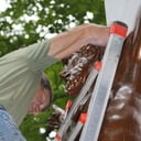 Taking care of the Carpenter
