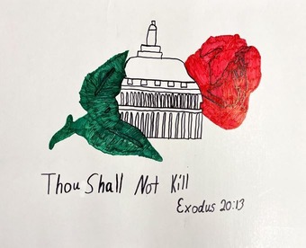 No trip to March for Life