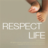 Training Workshop for Parish Respect Life Ministries - Jan. 24