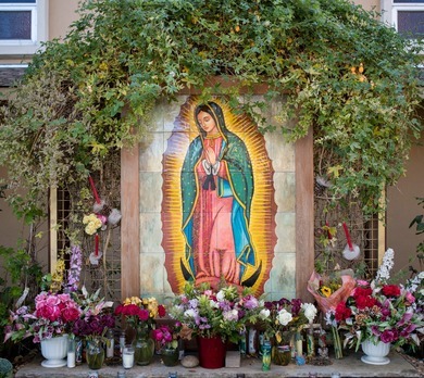 Festivities of Our Lady of Guadalupe 2025
