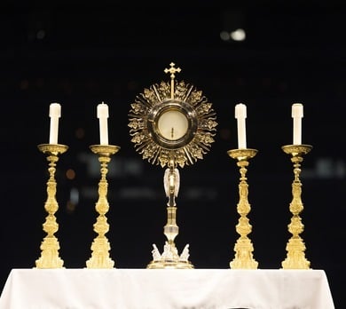 Eucharistic Adoration and Confessions