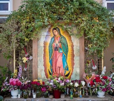 Festivities of Our Lady of Guadalupe 2025