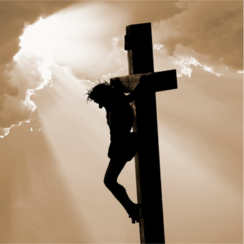 Journey to Jerusalem l Want More?