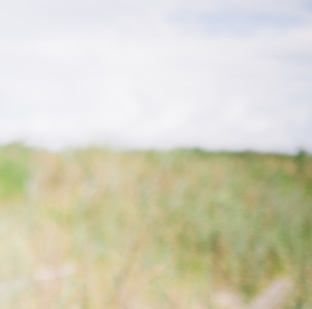 What's in the Quiet?