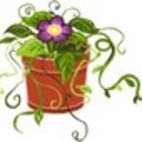 The St. Ann Scholarship Committee's Annual Perennial Plant Sale
