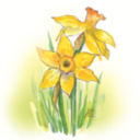 Perennial Plant Sale on Saturday, May 20th