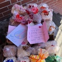 Thank You! Sandwich Sunday was a HUGE Success!