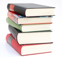 St. Ann Scholarship Fund's Annual Book Sale Coming in January!