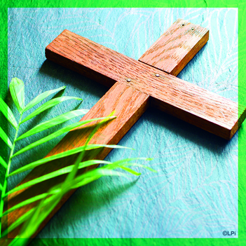 Bishop Bentancourt to Celebrate our 9:30am Palm Sunday Mass at the Church of St. Ann!