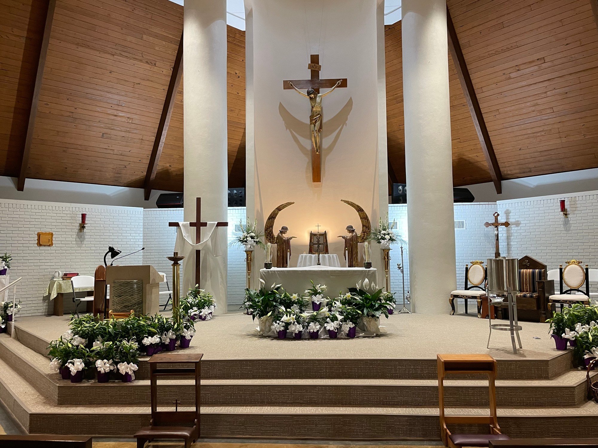 Mass & Confession Times