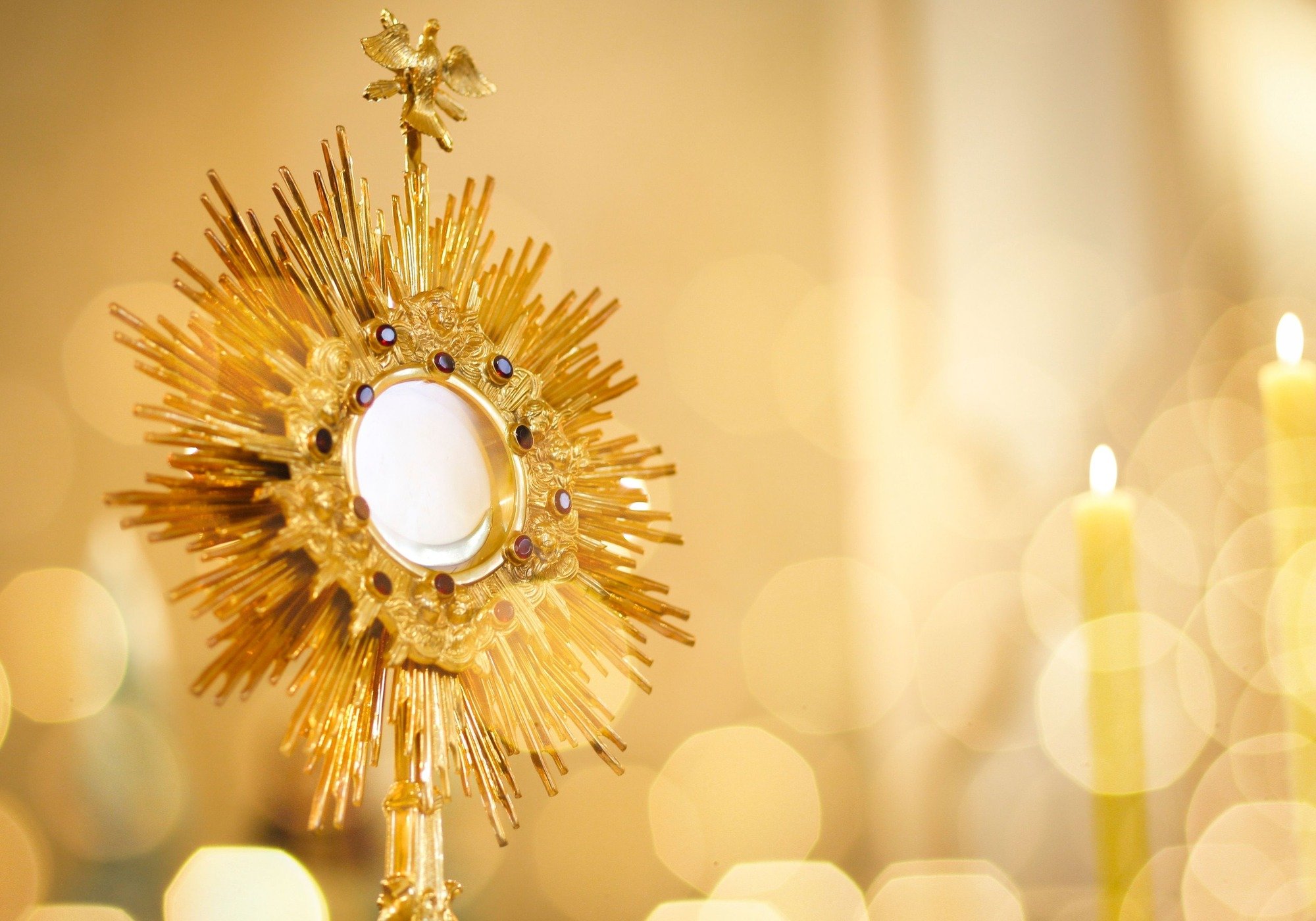 st mary adoration schedule