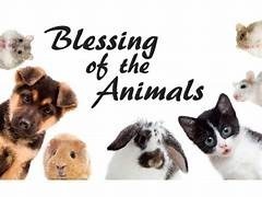 Blessing of the animals