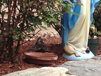 Mary's visitor