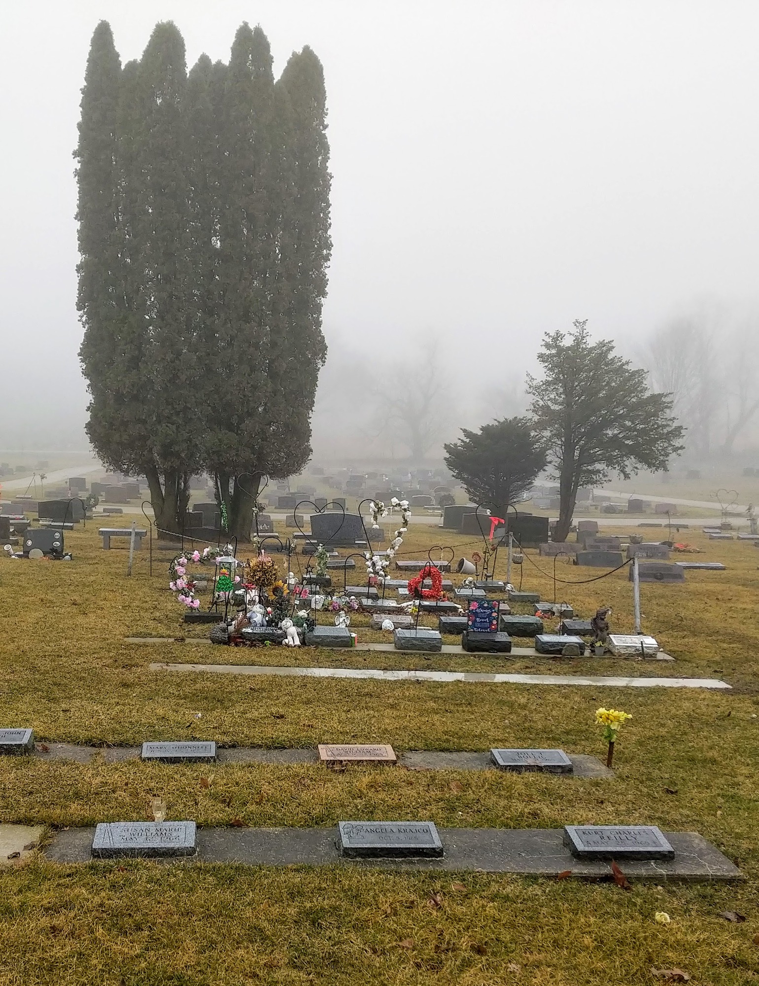 Disposition Decisions by Damian Lenshek