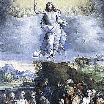 The Vocation of the Laity