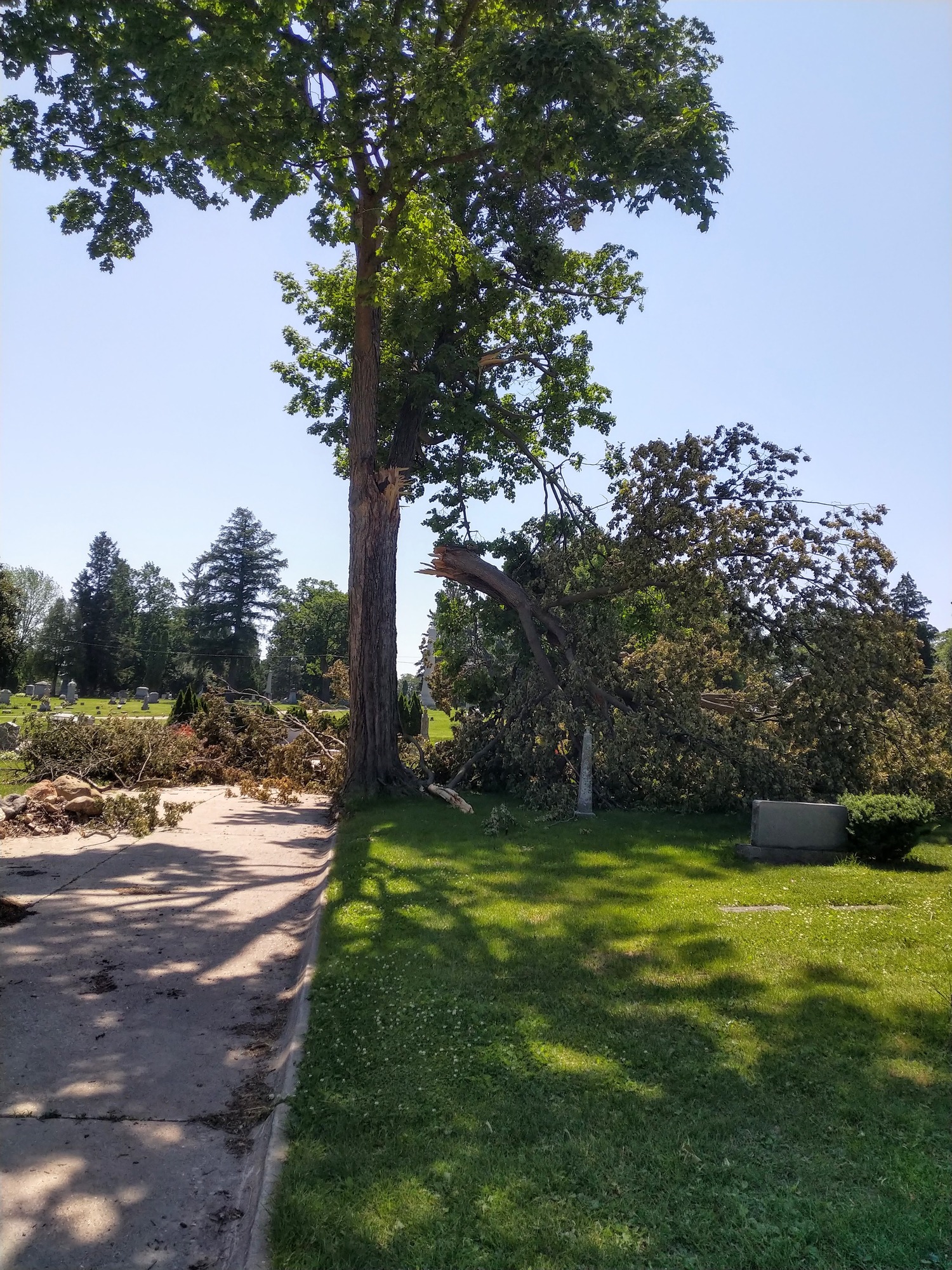 Resurrection in Madison 2022