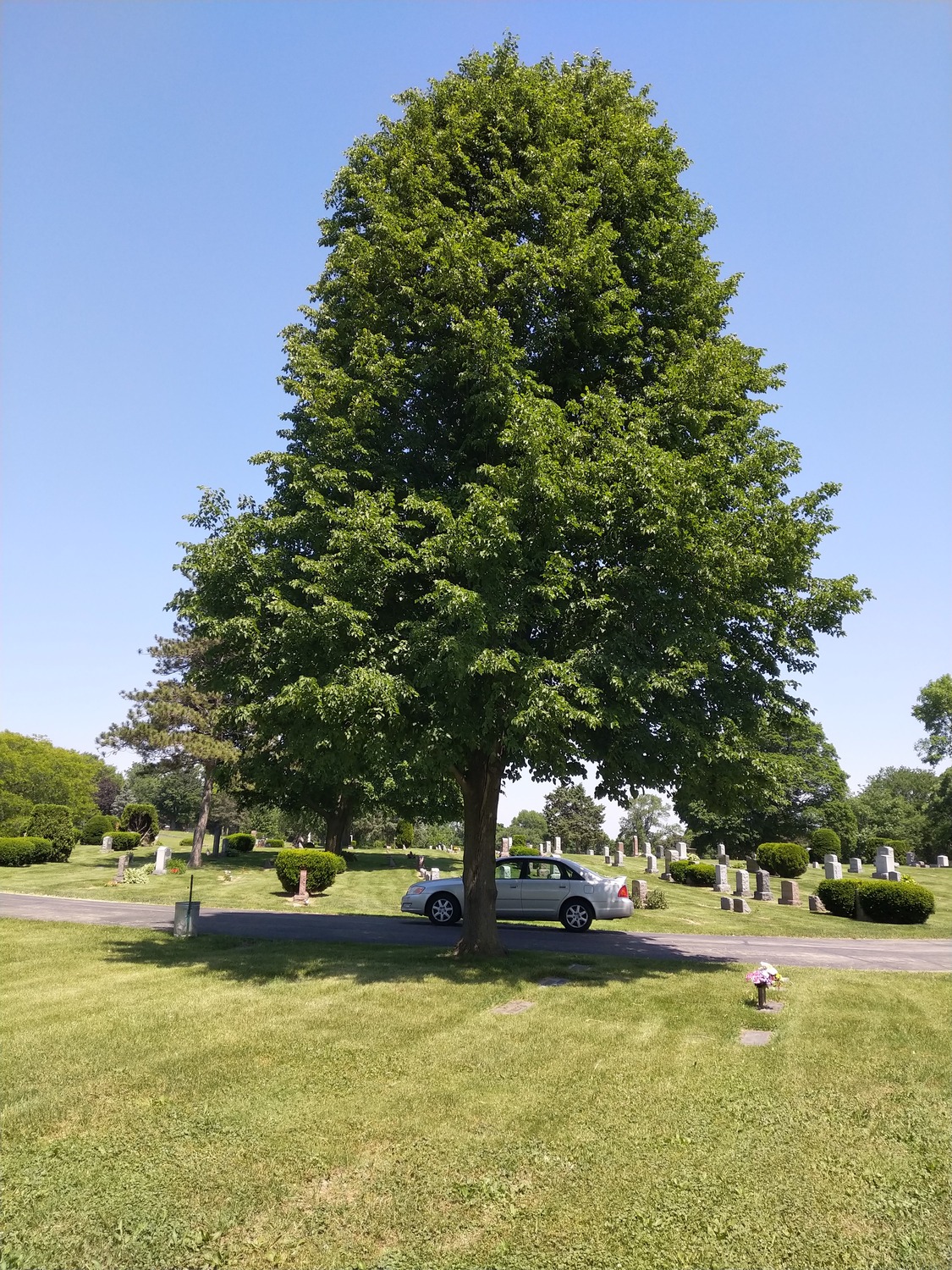 Resurrection in Madison 2022