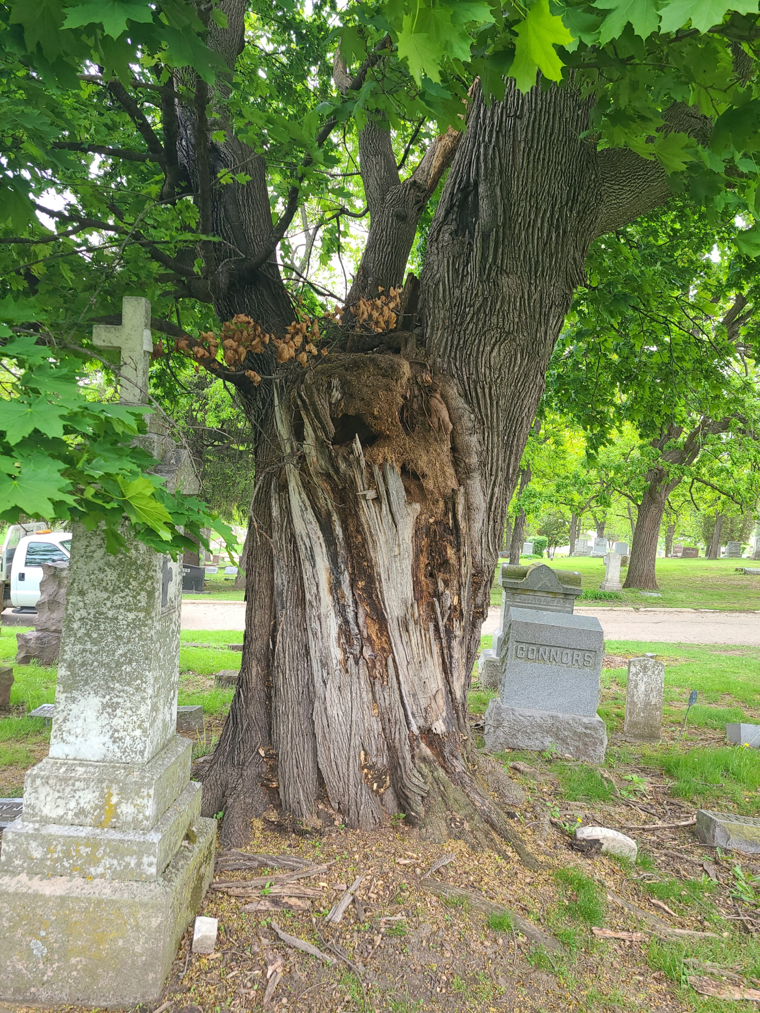 Mount Olivet May 2022