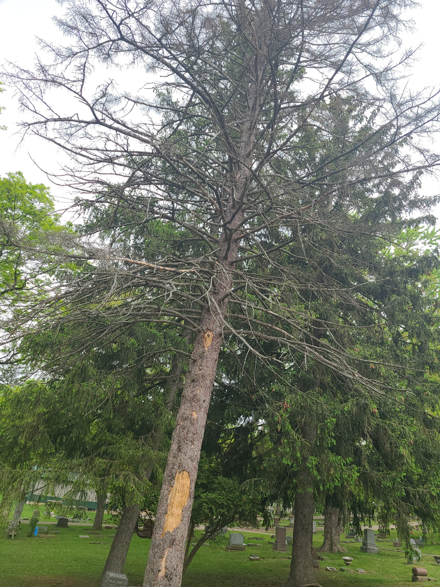 Mount Olivet May 2022