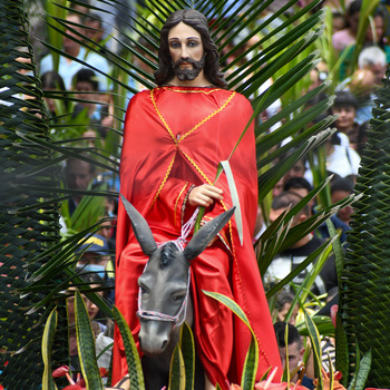 Palm Sunday of the Lord's Passion - Click to See Full Mass Schedule