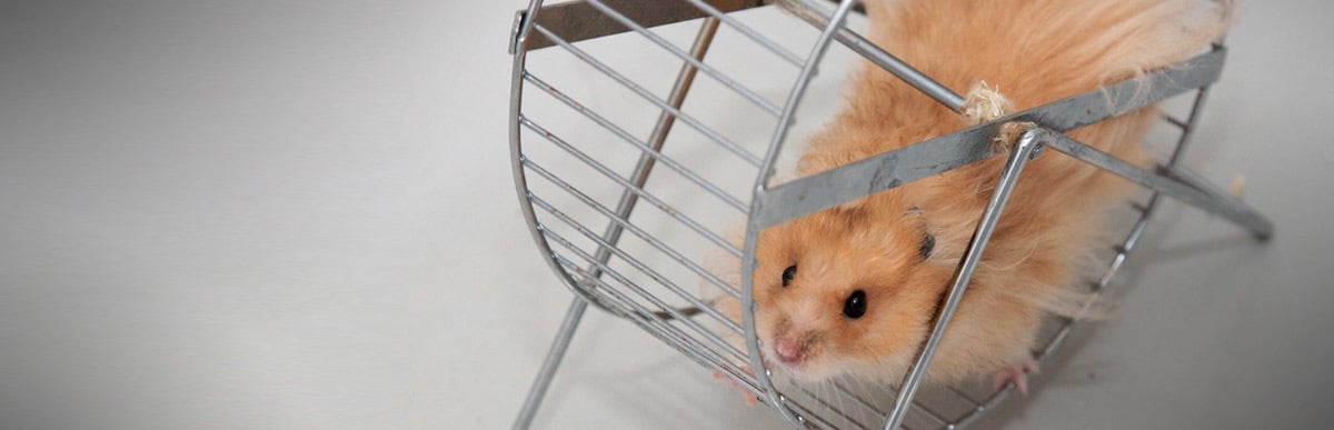 How to serve with passion and purpose