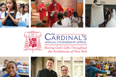 Cardinal's Appeal 2024