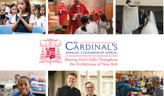 Cardinal's Appeal 2024