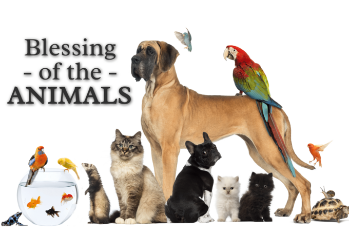 Blessing of the Animals
